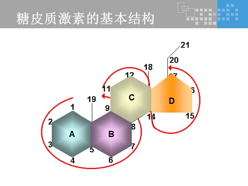 氟轻松是如何发挥其药理作用的？